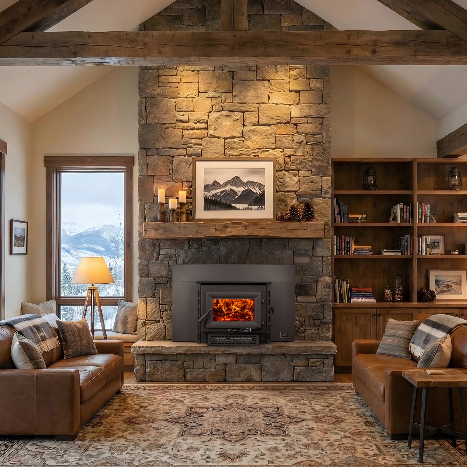 CH18 Wood Stove Insert